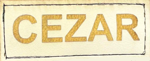 Dog Bed Playpen KINGDOG 75x65 cm Personalized Waterproof