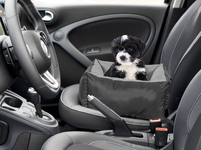 Animals CAR TRANSPORTER 55x55 cm Waterproof