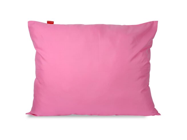 Duvet 220x200 cm All-season Antiallergic + Pillow 70x80 cm