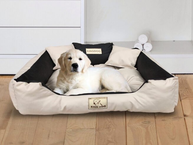 Dog Bed Playpen KINGDOG 100x75 cm Personalized Waterproof