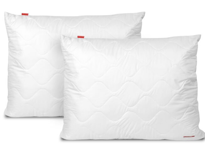 Duvet 220x200 cm All-season Antiallergic + Pillow 70x80 cm