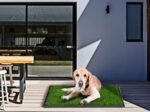 Training Dog Puppy Litter Toilet Lawn Portable Grass Mat