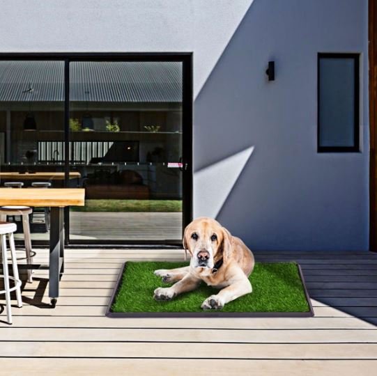 Training Dog Puppy Litter Toilet Lawn Portable Grass Mat