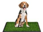 Training Dog Puppy Litter Toilet Lawn Portable Grass Mat