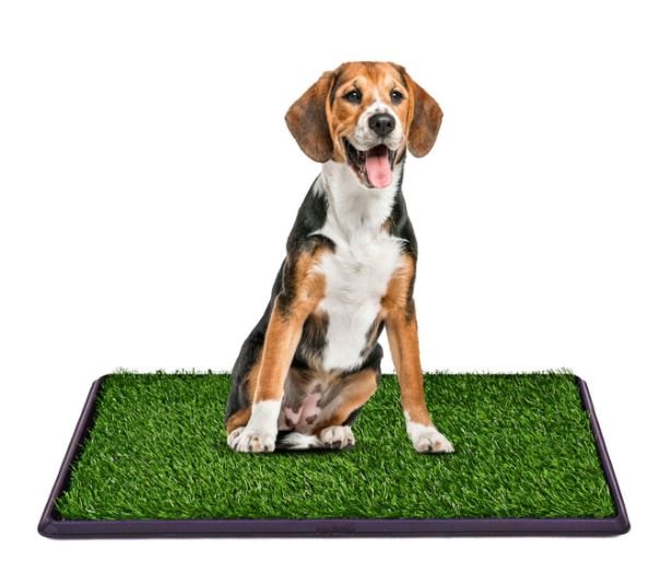 Training Dog Puppy Litter Toilet Lawn Portable Grass Mat