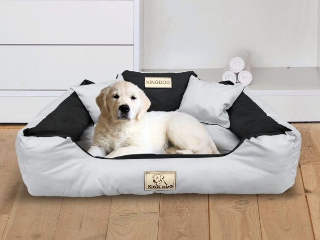 Dog Bed Playpen KINGDOG 100x75 cm Personalized Waterproof