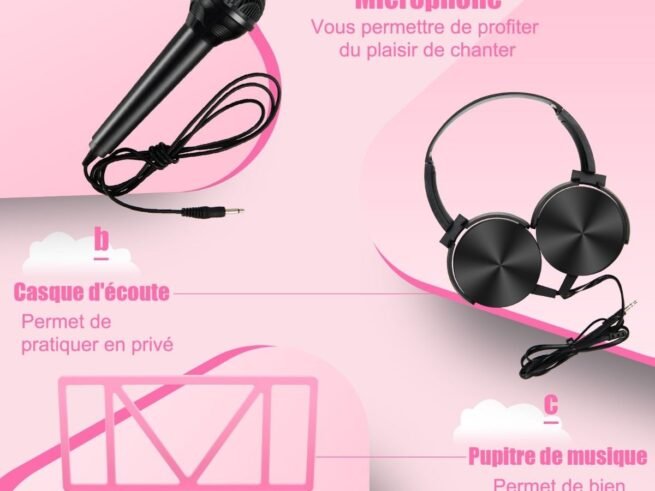 61-Key Electronic Piano Keyboard Microphone Stand 255 Sounds 255 Rhythms 24Demo