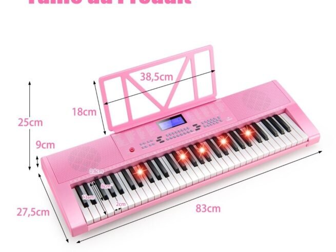 61-Key Electronic Piano Keyboard Microphone Stand 255 Sounds 255 Rhythms 24Demo
