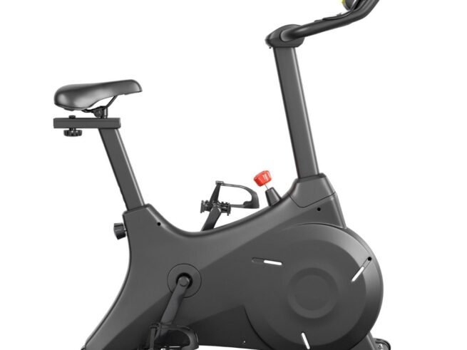 Magnetic Bike Limitless Resistance with Adjustable Saddle LCD Screen Belt System