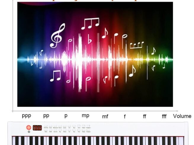 Portable Electric Piano Keyboard 61 Keys Bluetooth MIDI Sustain Pedal 2 Speakers