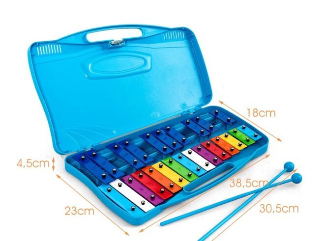 Xylophone for Children 25 Notes with 2 Plastic Drumsticks 12 Alphabet Sheet Music