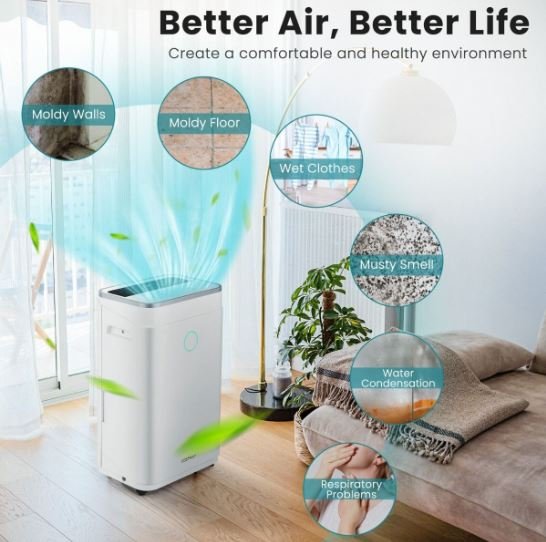 Portable Dehumidifier 25L/Day 30m2 with 6.5L Tank 24H Timer