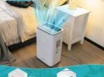 Portable Dehumidifier 25L/Day 30m2 with 6.5L Tank 24H Timer