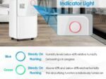 Portable Dehumidifier 15L/Day 15m2 with 2L Tank 24H Timer