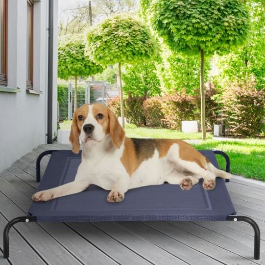 Elevated Dog Bed Puppy Cradle 110x80x18CM