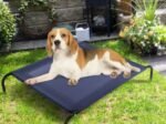 Elevated Dog Bed Puppy Cradle 110x80x18CM