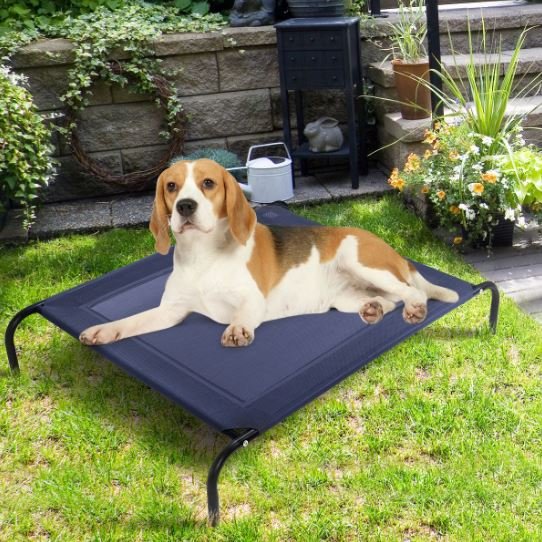 Elevated Dog Bed Puppy Cradle 110x80x18CM