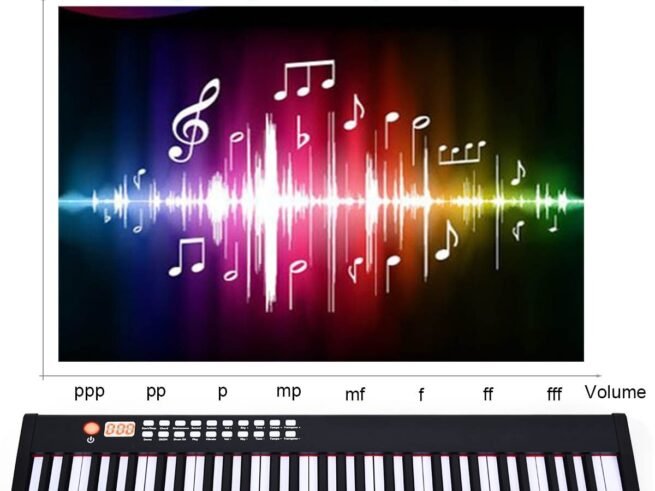 Portable Electric Piano Keyboard 61 Keys Bluetooth MIDI Sustain Pedal 2 Speakers