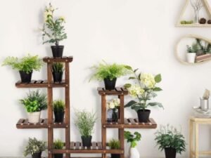 plant shelf1