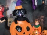 Inflatable Halloween Pumpkin Black Cat Decoration LED Lights 150 cm