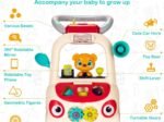 2 in 1 Push Walker for Baby Scalable Interactive Learn to Walk Educational 9+Months