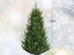 Artificial Christmas Tree 180 cm with 2 Types of 718 Realistic Branches in PVC