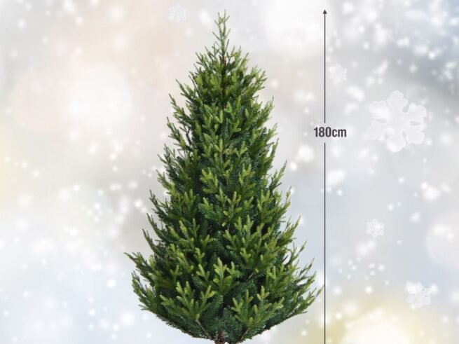 Artificial Christmas Tree 180 cm with 2 Types of 718 Realistic Branches in PVC