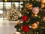 Artificial Christmas Tree 230CM Automatic Branch Opening Metal Stand