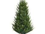 Artificial Christmas Tree 180 cm with 2 Types of 718 Realistic Branches in PVC