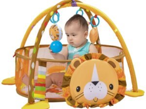 Baby Play Gym mat (5)