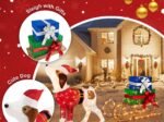 Pre-lit Lighted Christmas Dog Sleigh Gift Boxes Combo Decoration