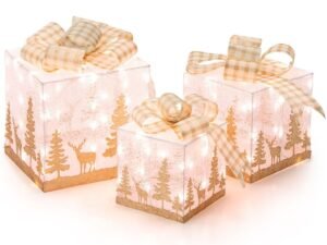 Christmas Lighted Gift Boxes (1)
