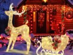 Luminous Christmas Reindeer with Sleigh 100 LED Warm White Lights