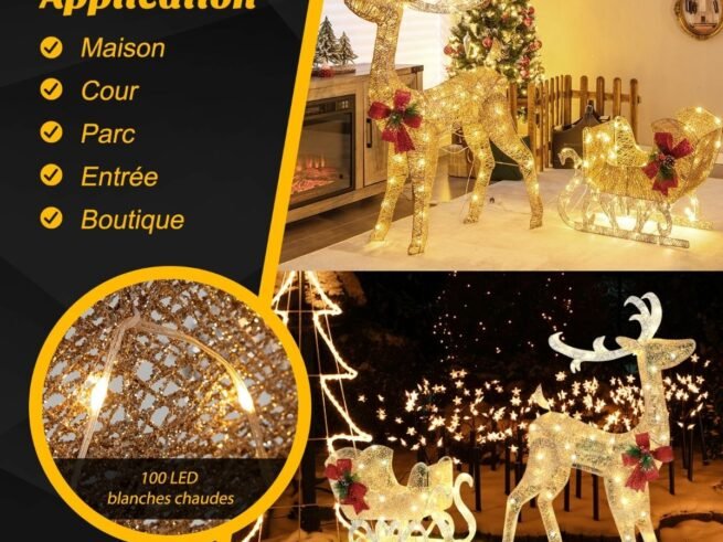 Luminous Christmas Reindeer with Sleigh 100 LED Warm White Lights